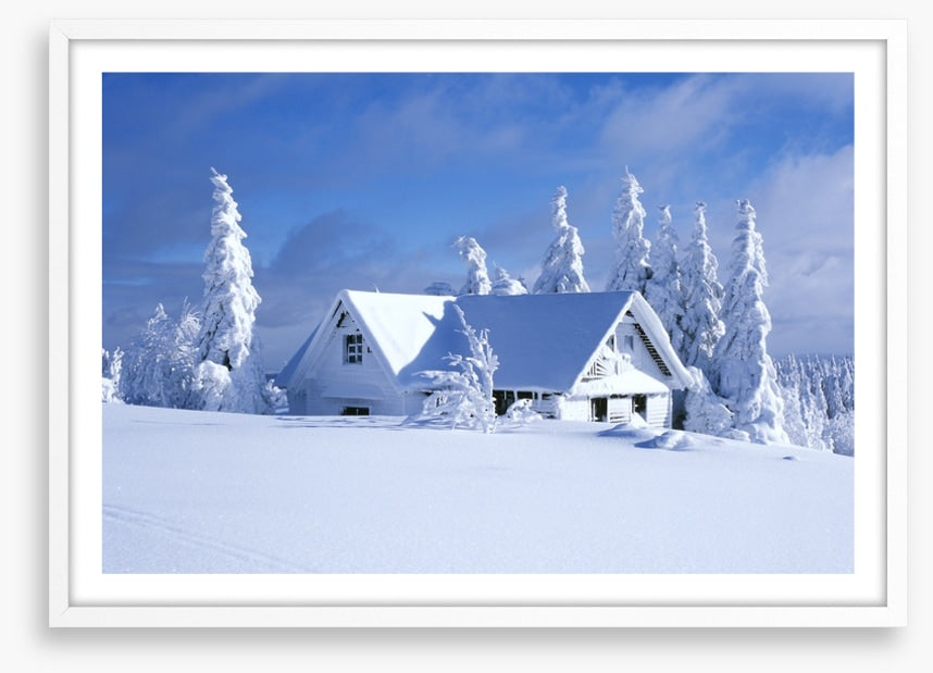 Snowed in