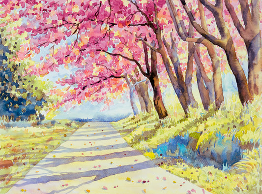 Path through spring