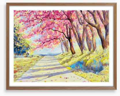 Path through spring
