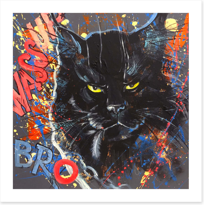 Maine Coon cool
