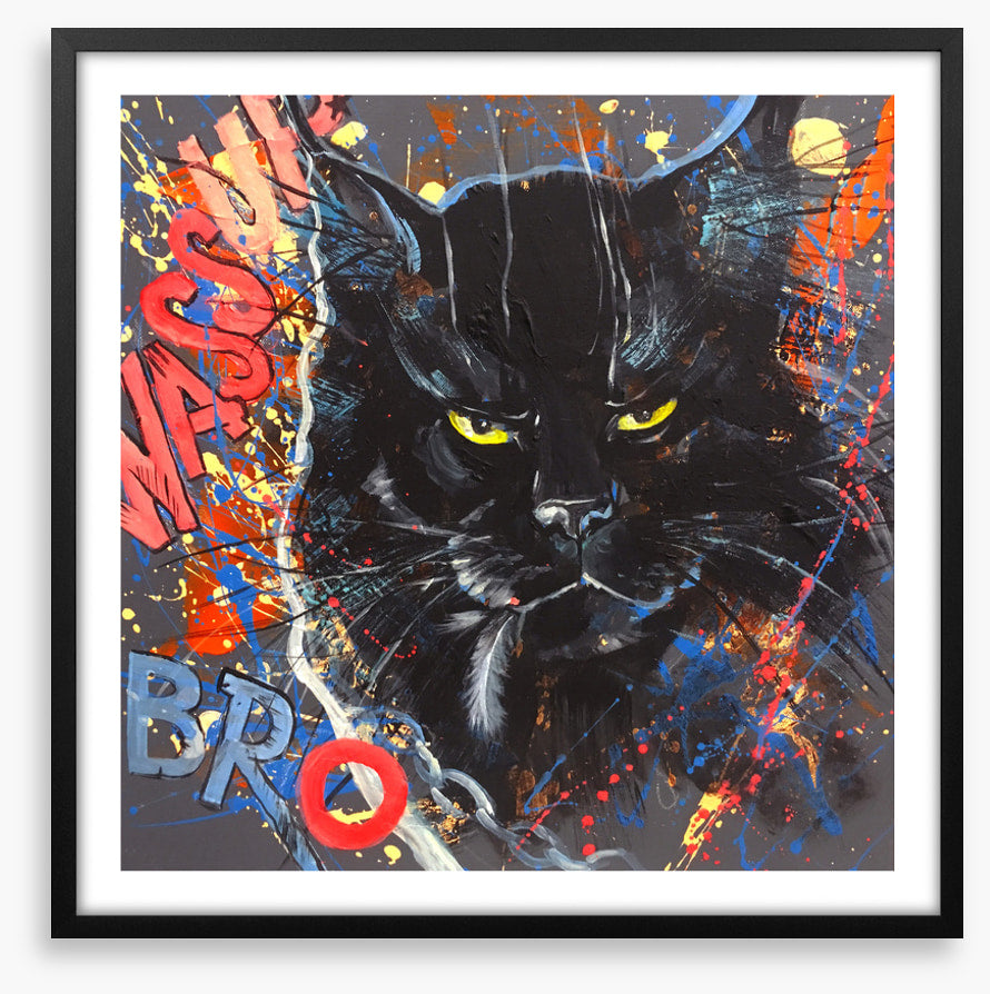 Maine Coon cool