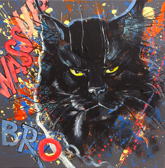 Maine Coon cool