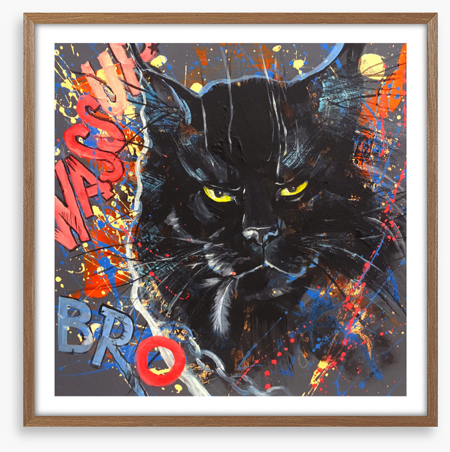 Maine Coon cool
