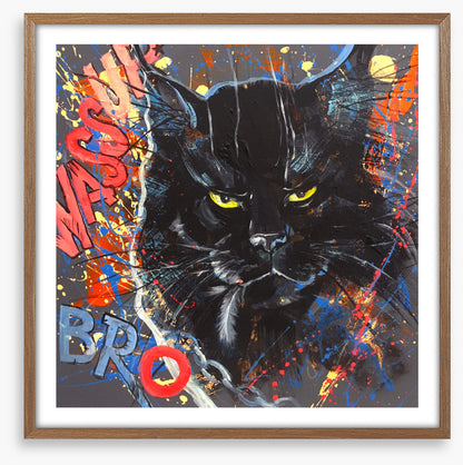 Maine Coon cool