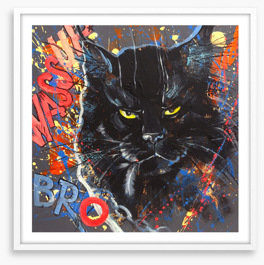Maine Coon cool