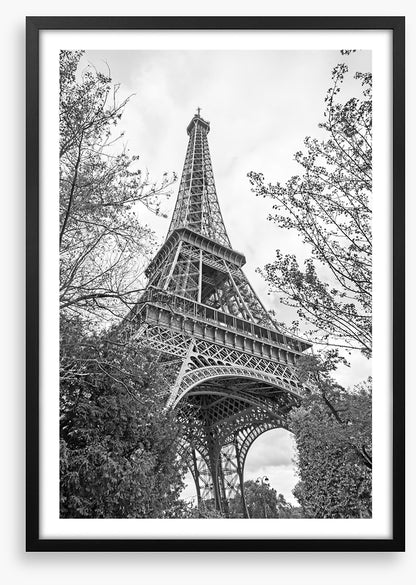 Eiffel Tower trees