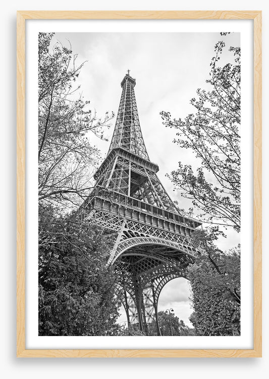 Eiffel Tower trees