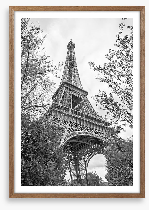 Eiffel Tower trees