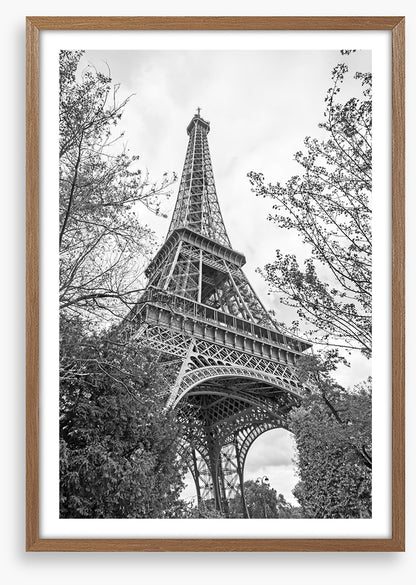 Eiffel Tower trees