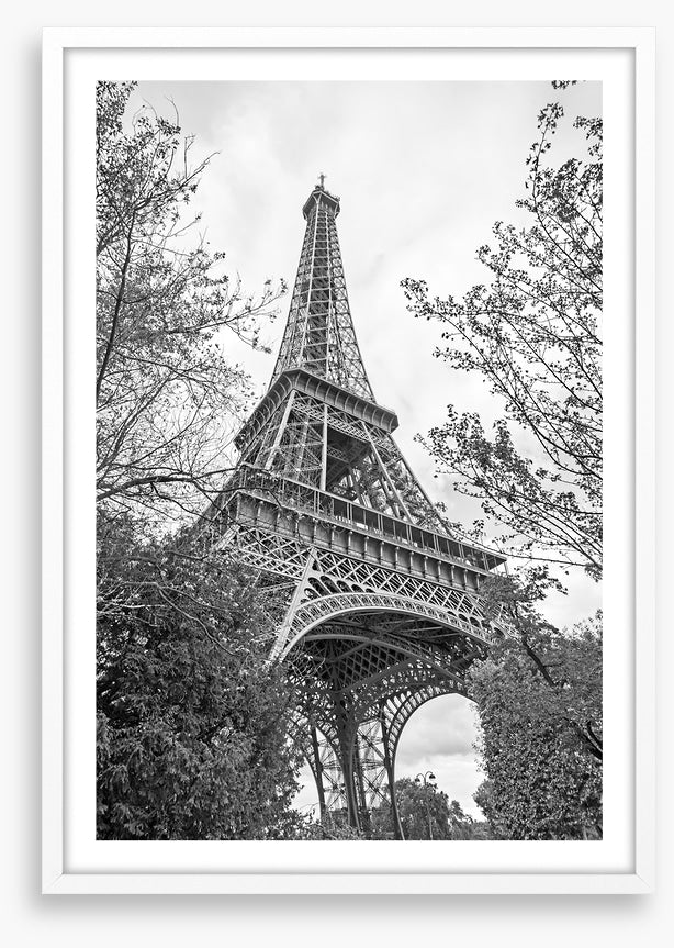 Eiffel Tower trees
