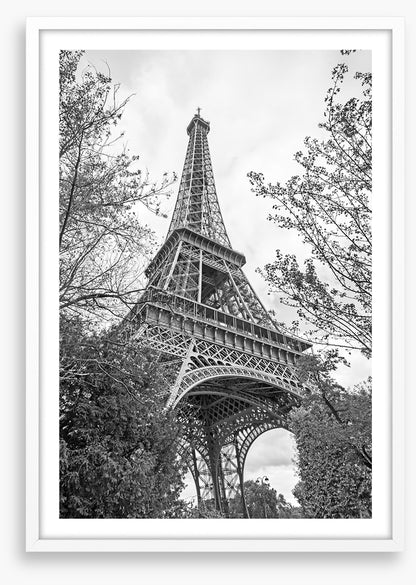 Eiffel Tower trees
