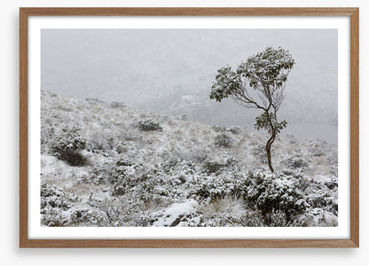 Tasmania