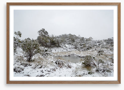 Tasmania