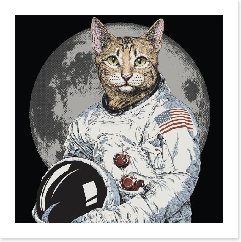 The cosmonaut cat