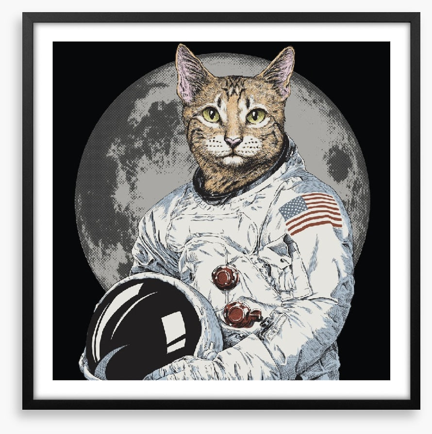 The cosmonaut cat