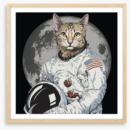 The cosmonaut cat