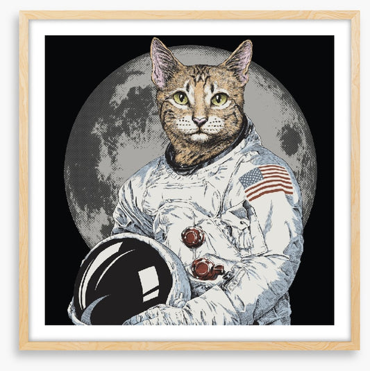 The cosmonaut cat