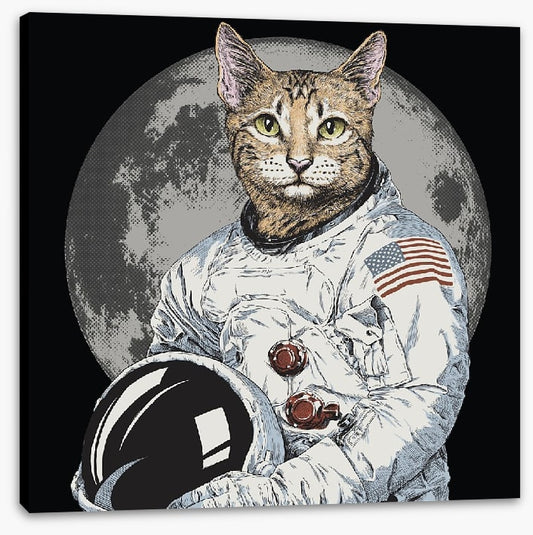 The cosmonaut cat