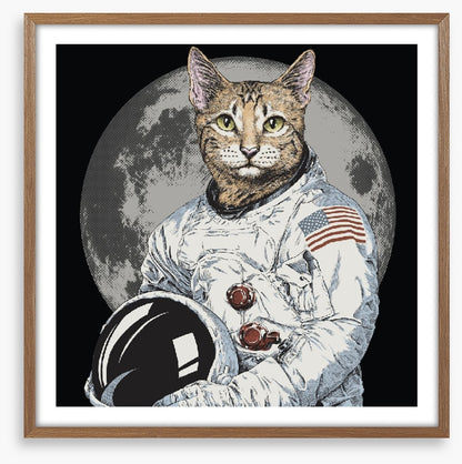 The cosmonaut cat