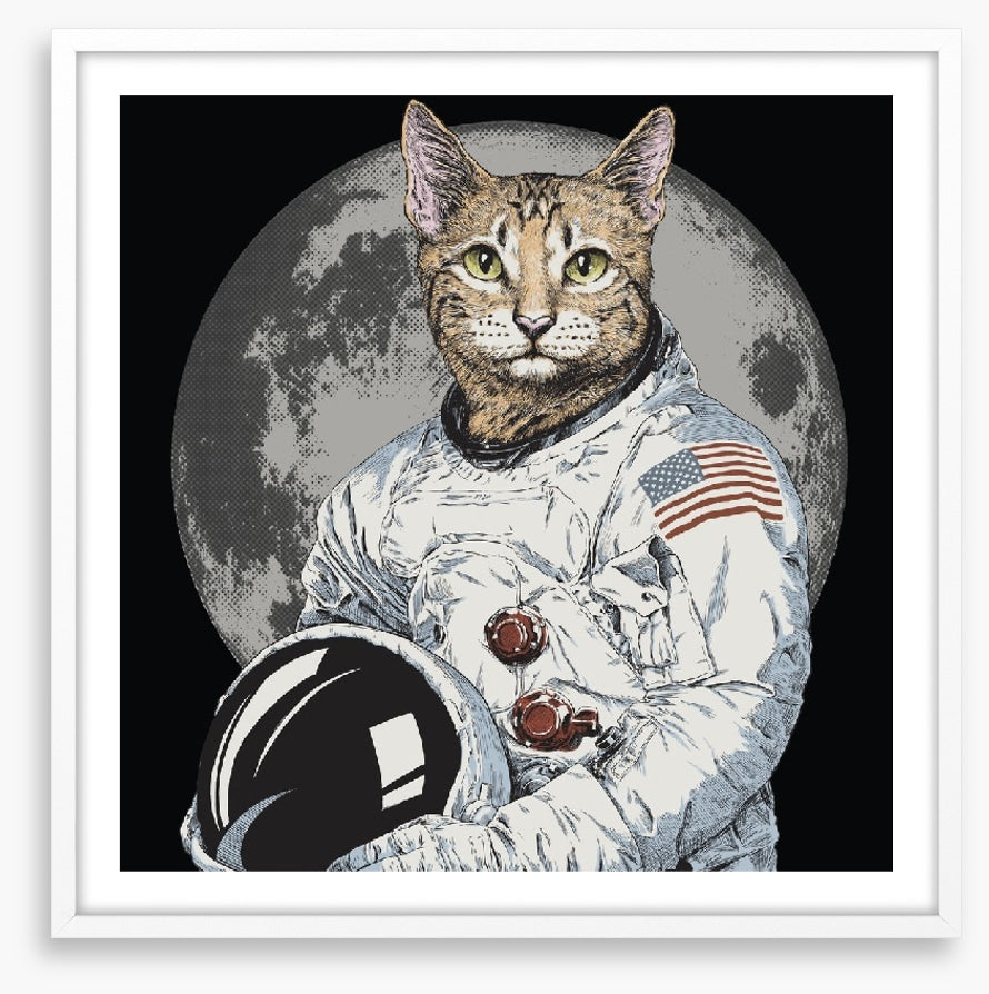 The cosmonaut cat
