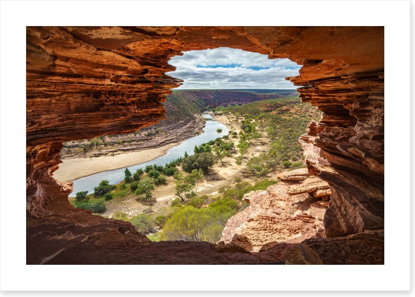 Nature's window
