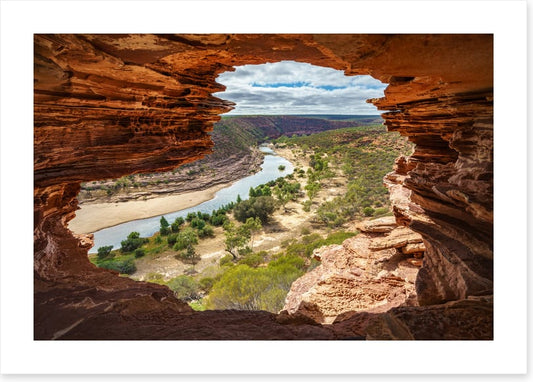 Nature's window