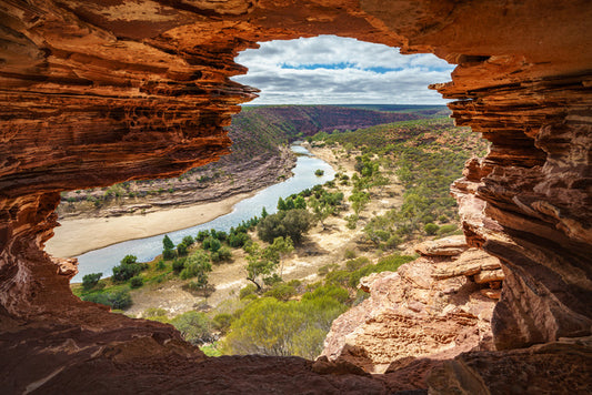 Nature's window
