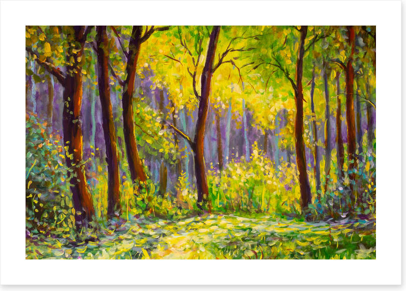 Sunshine in the glade
