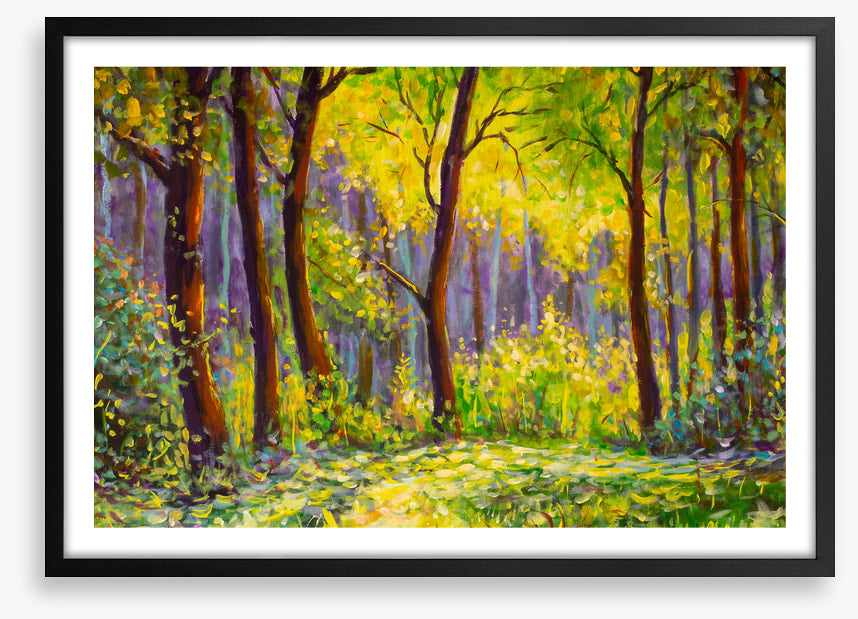 Sunshine in the glade