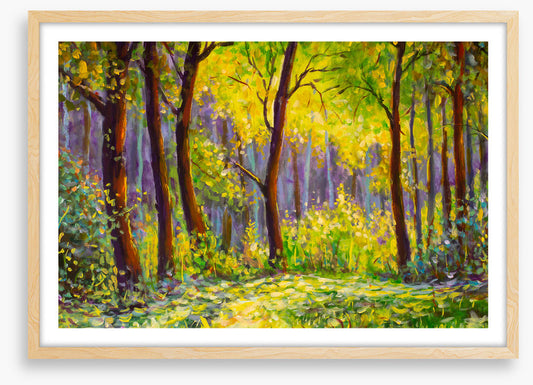 Sunshine in the glade