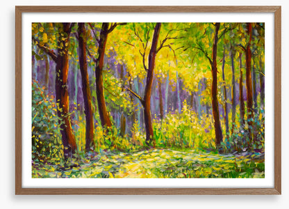 Sunshine in the glade