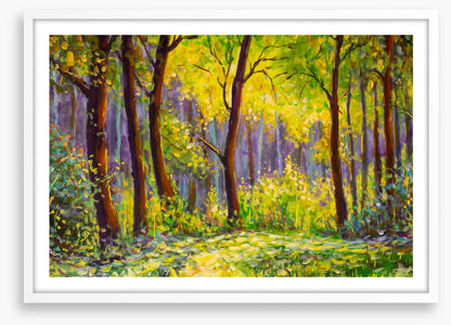 Sunshine in the glade