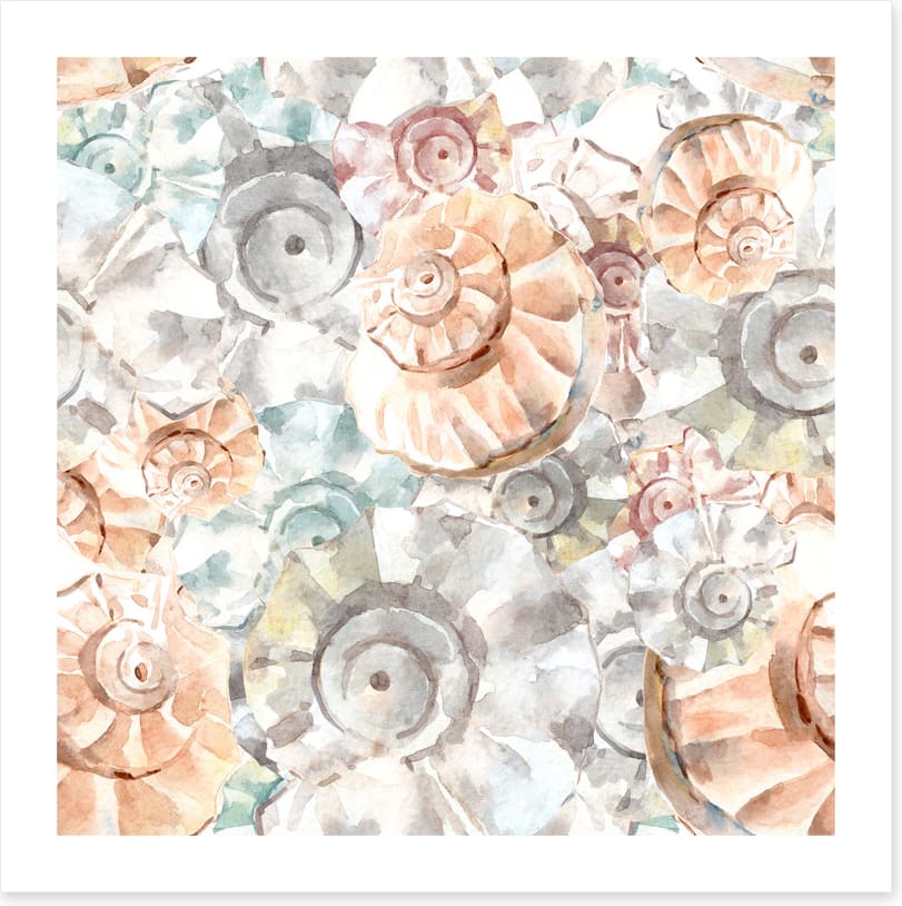 As soft as seashells