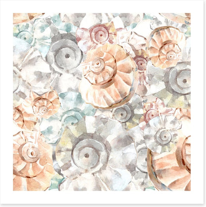 As soft as seashells