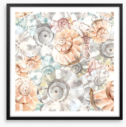As soft as seashells