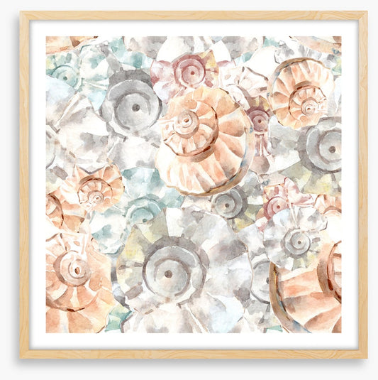 As soft as seashells