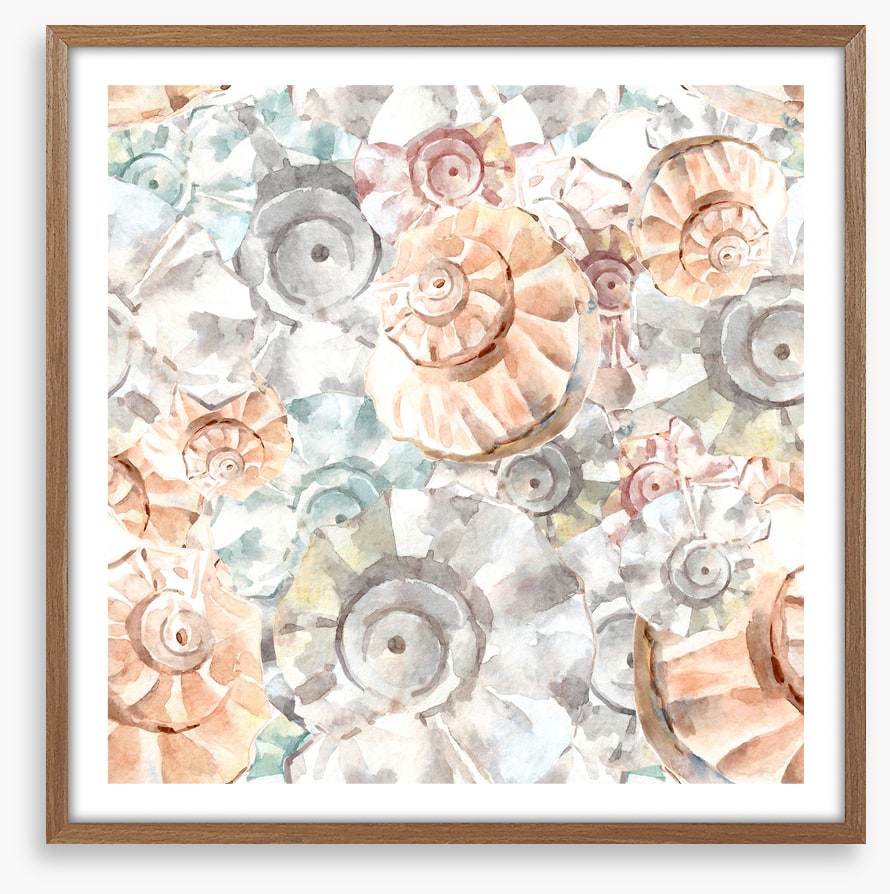 As soft as seashells