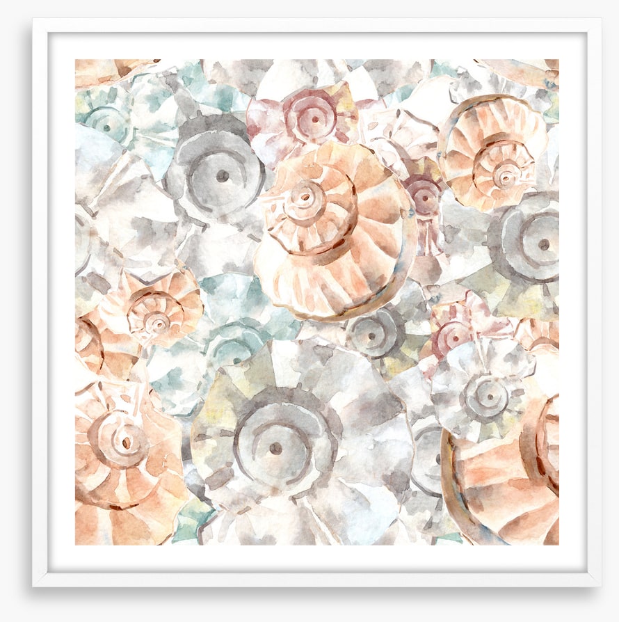 As soft as seashells