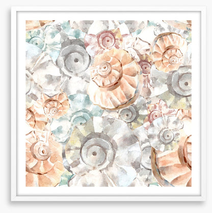 As soft as seashells