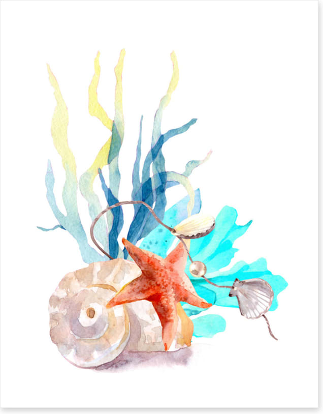 Pearl of the sea