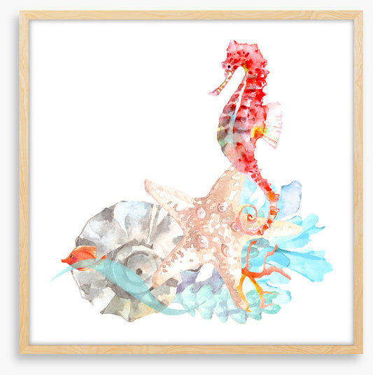 Star of the sea