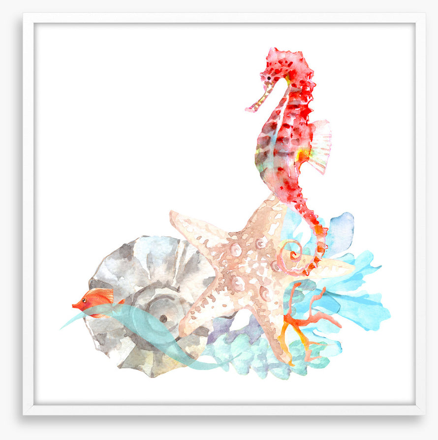Star of the sea