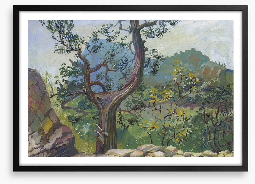 Beyond the bough