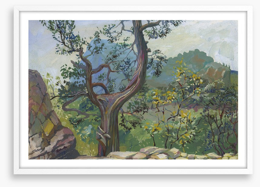 Beyond the bough