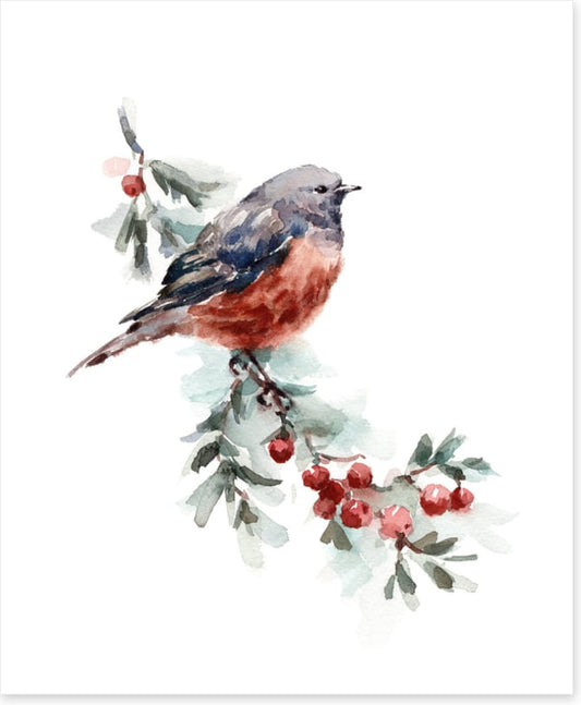 Birds