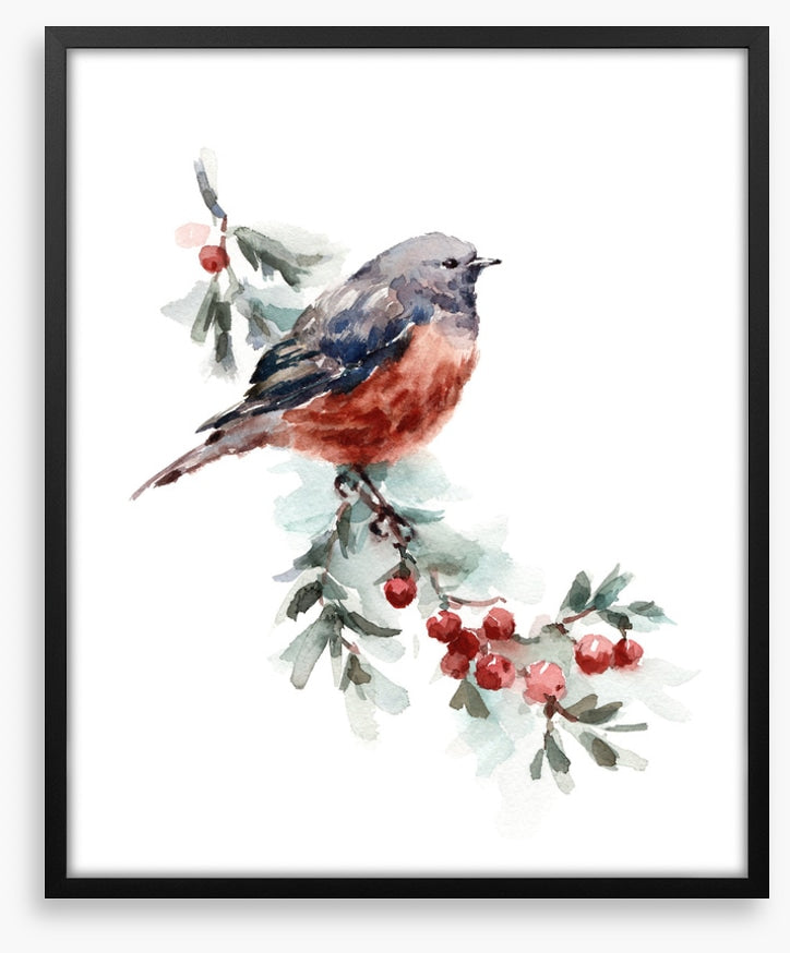Birds