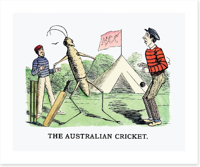 The Australian cricket