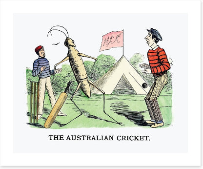 The Australian cricket