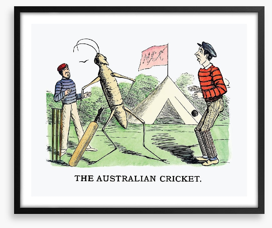 The Australian cricket