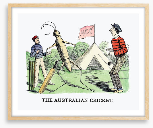 The Australian cricket